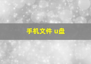 手机文件 u盘